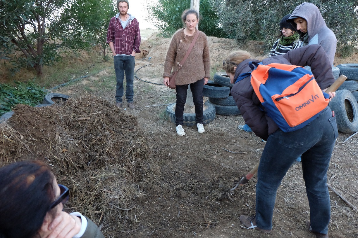 Compost à L'ombre du palmier