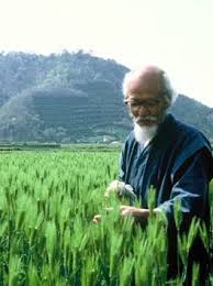 fukuoka origine de la permaculture