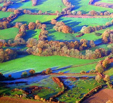 Haies en permaculture