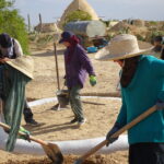 Formation superadobe ecodome