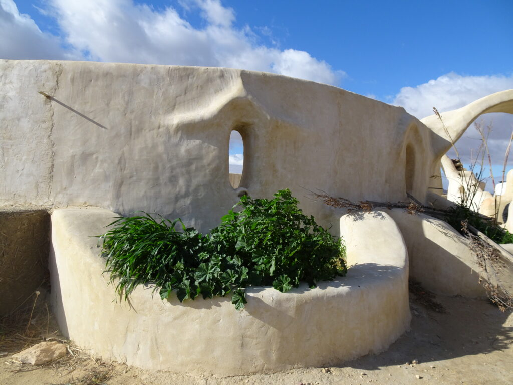 Ecolieu tunisie