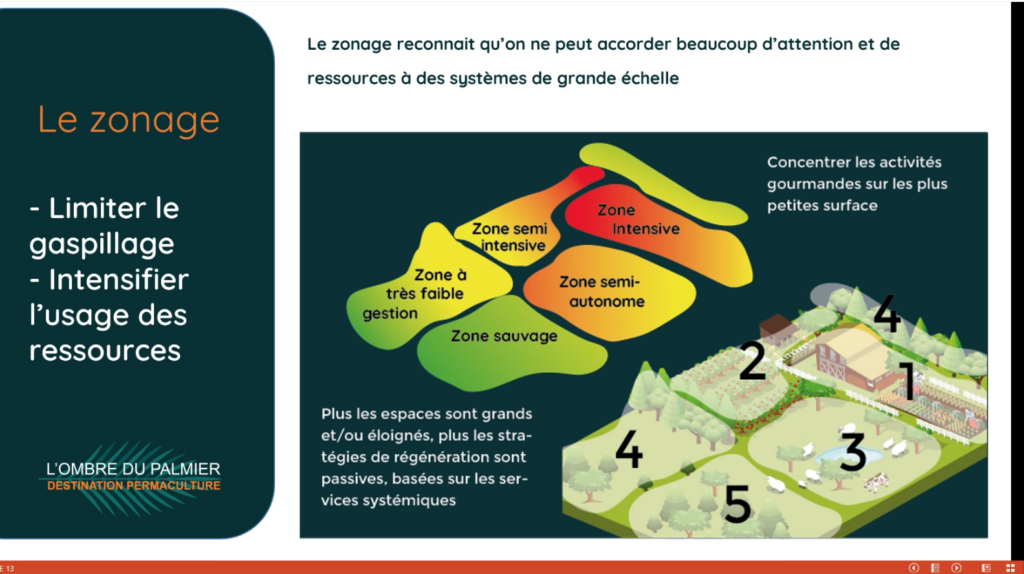 Quelle technique de régénération choisir permaculture webinaire sols dégradés