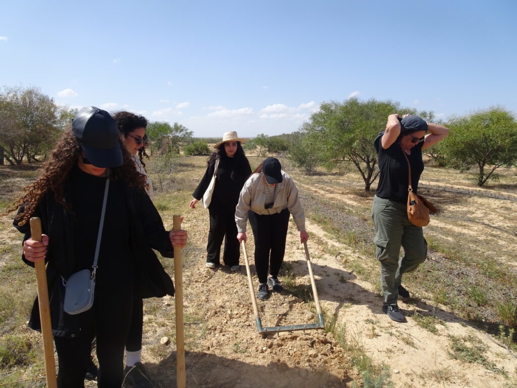 Weekend permaculture