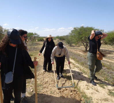 Weekend permaculture