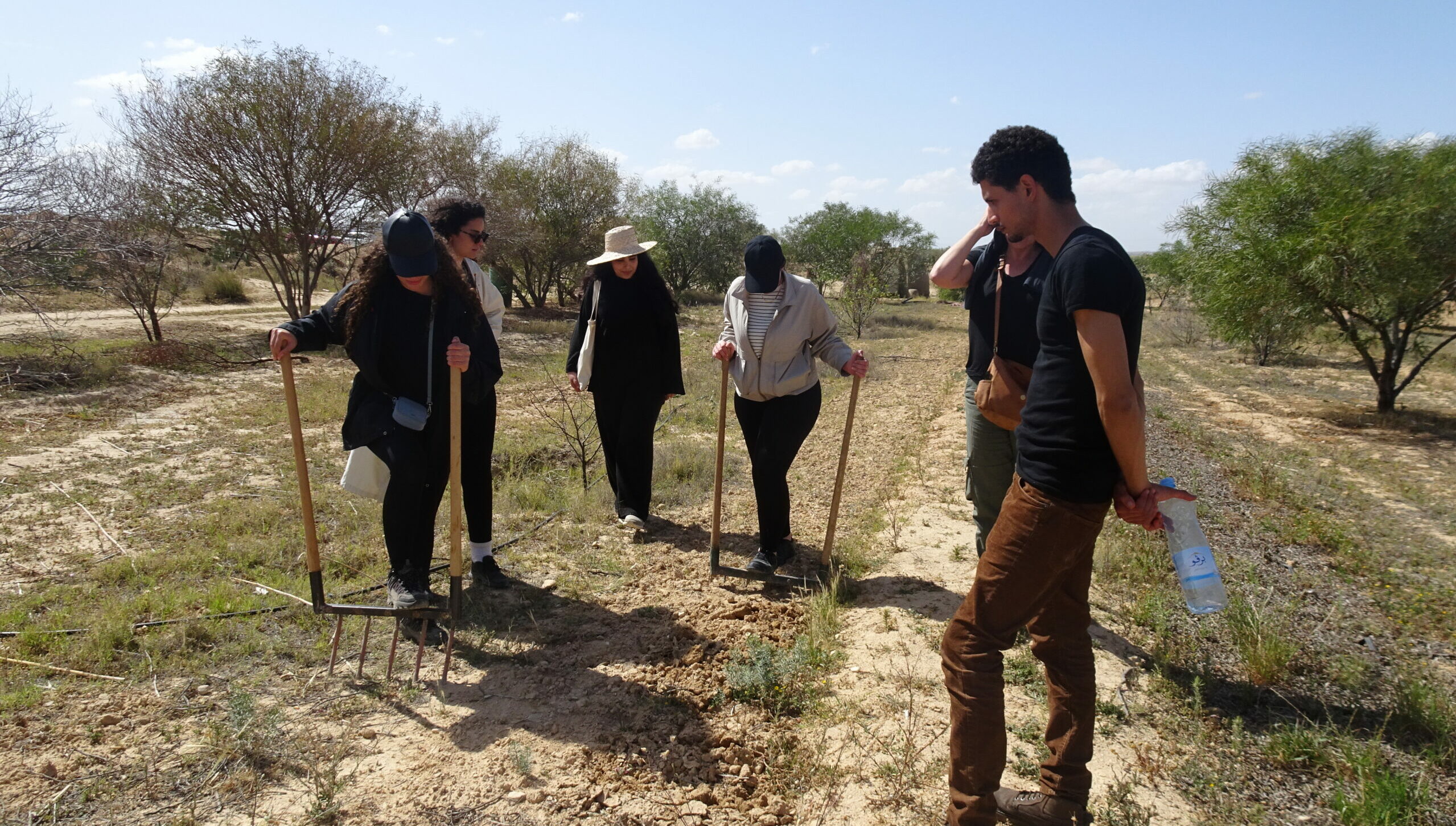 Weekend permaculture