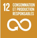 odd 12 consommation et production responsable