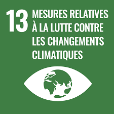 odd 13 Lutte contre le changement climatique