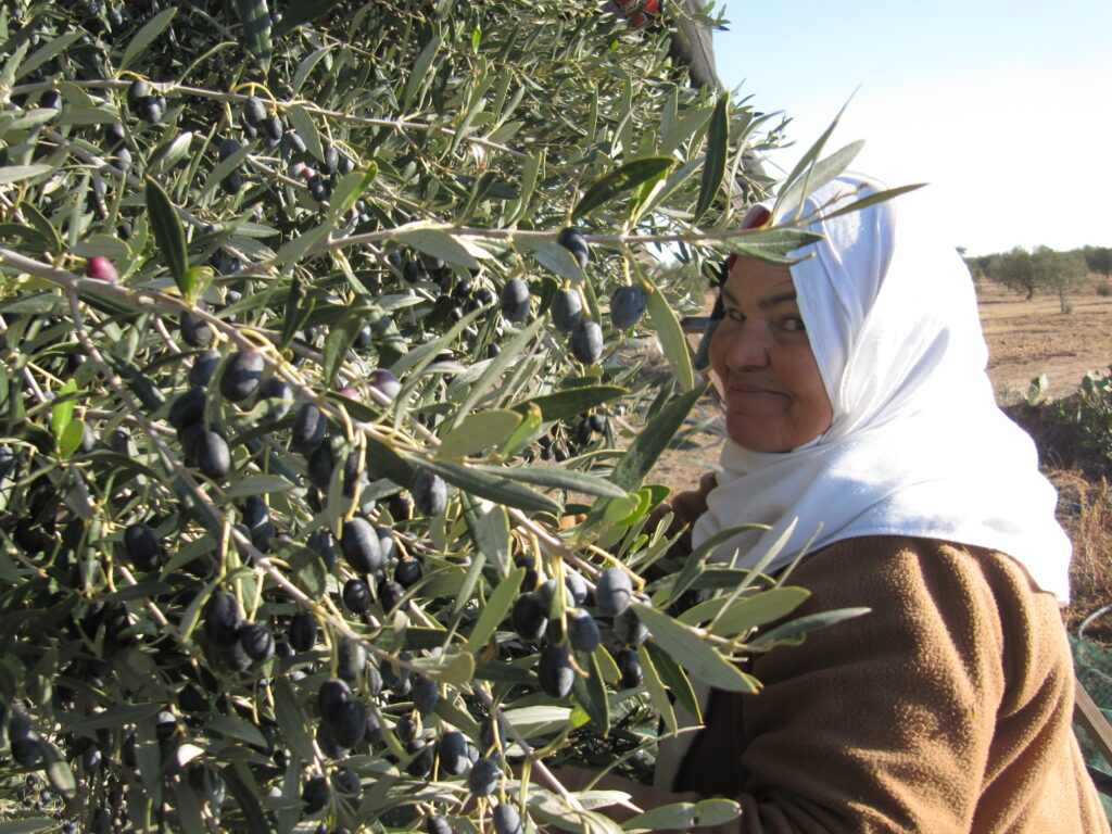 huile d'olive naturelle