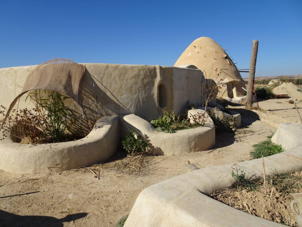 Jardin économe en eau