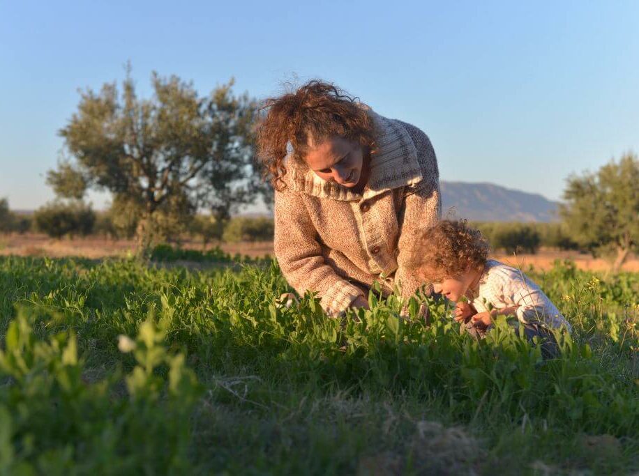 Bénévolat en permaculture en Tunisie à L'Ombre du Palmier2