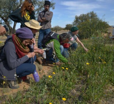 Principes de permaculture